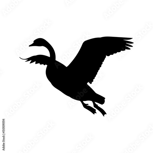 Flying tundra swan silhouette vector flat illustration design.