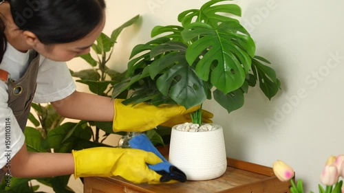 Young housewife is cleaning dust with a microfiber cloth in the living room. Housekeeping concept