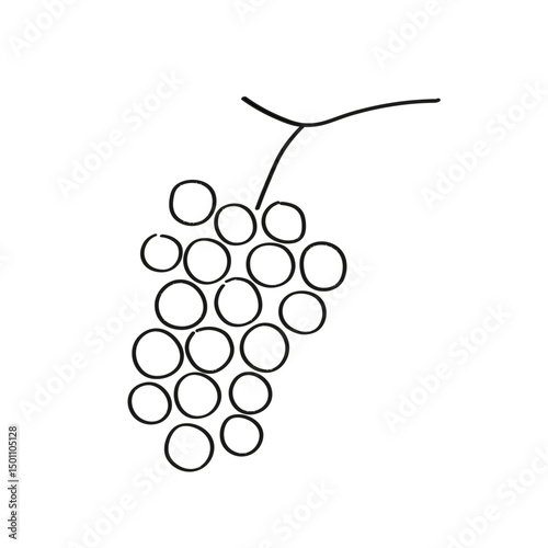 Sketch Grapes on isolated background. Hand drawn illustration with bunch of Grapevine berries in line art style. Food, dry raisins, healthy food, harvest fruit. For label, icon, card, logo, print