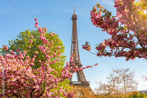 Wallpaper Mural Eiffel Tower with blooming sakura in Trocadero in spring, Paris, France Torontodigital.ca