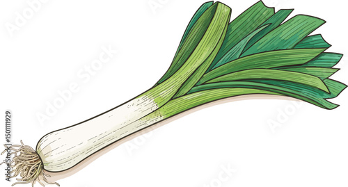 Leeks Illustration on White Background Vibrant Vector Design for Food Cooking and Recipe Applications