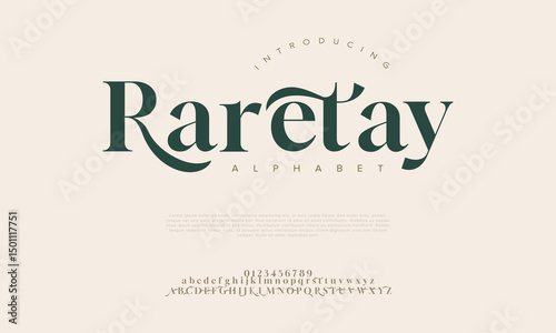 Elegant luxury curvy serif alphabet display font vector