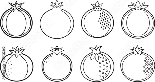 set of pomegranate fruit line art, black outline, vector and illustration, coloring book page line art drawing