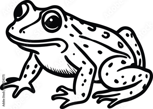 Frog animal line art, Frog silhouette