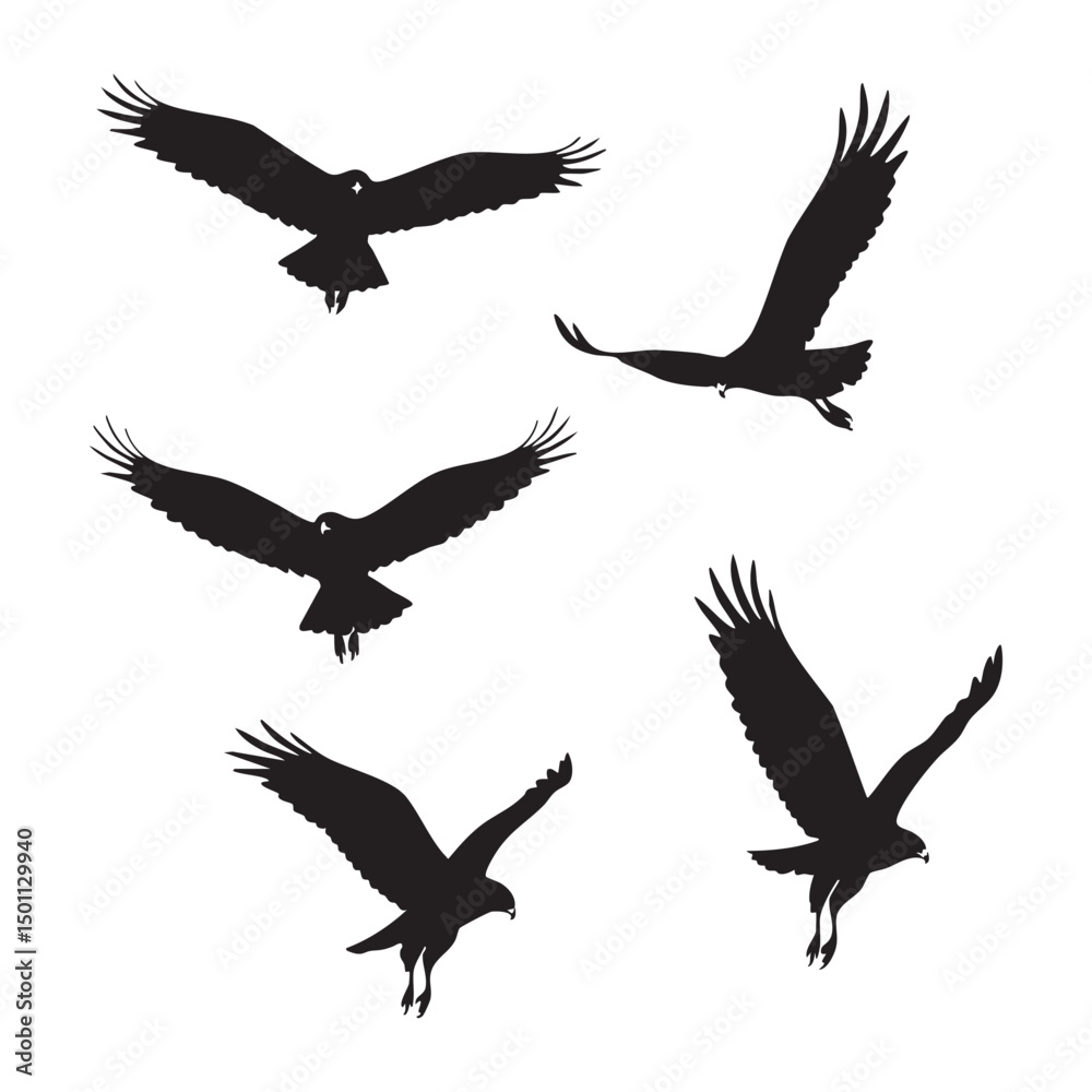 Fototapeta premium Silhouette set of hawk on white background