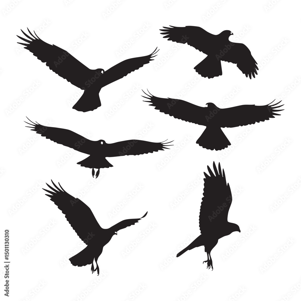 Silhouette set of hawk on white background Silhouette set of hawk on white background
