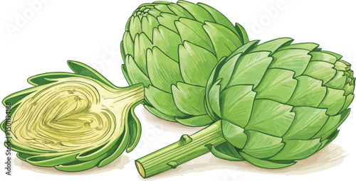 Artichoke illustration vector design, Artichoke in white background vector design