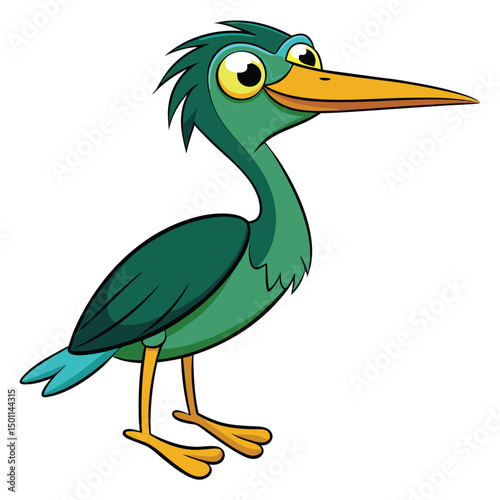Animated green heron stands looking upwards with its beak slightly open on white