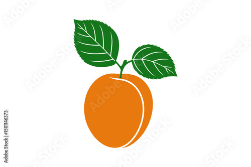 Apricot fruit illustration with leaves vector art