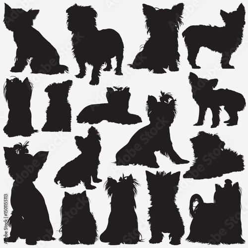 Yorkshire Terrier Silhouettes: A collection of artistic silhouettes of Yorkshire Terriers. Illustrating diverse poses and postures. Capturing the essence of this breed.