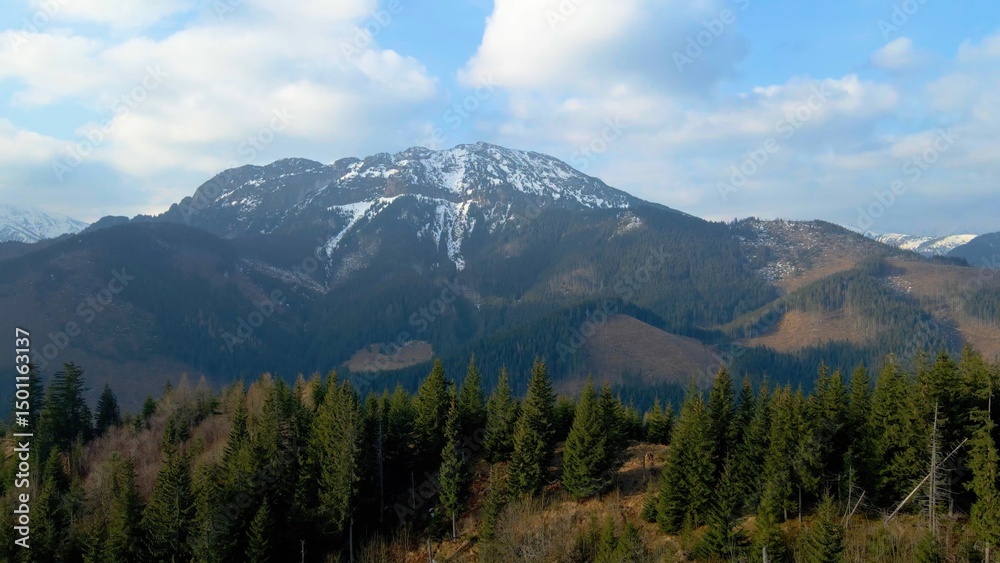 Fototapeta premium mountain top rocks view from above Zakopane Poland