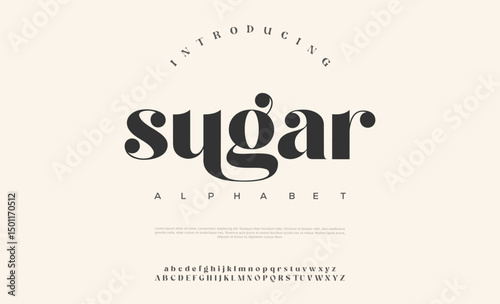 Luxury alphabet letters font. Typography elegant wedding classic lettering serif fonts decorative vintage retro concept.