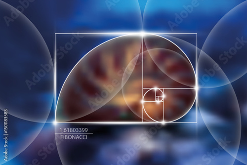 Fibonacci number sequence. Golden ratio. Geometric shapes spiral. Snail spiral. Nautilus Seashell. Sacred geometry template. Logarithmic sequences. Vector Blurred blue sea bottom background