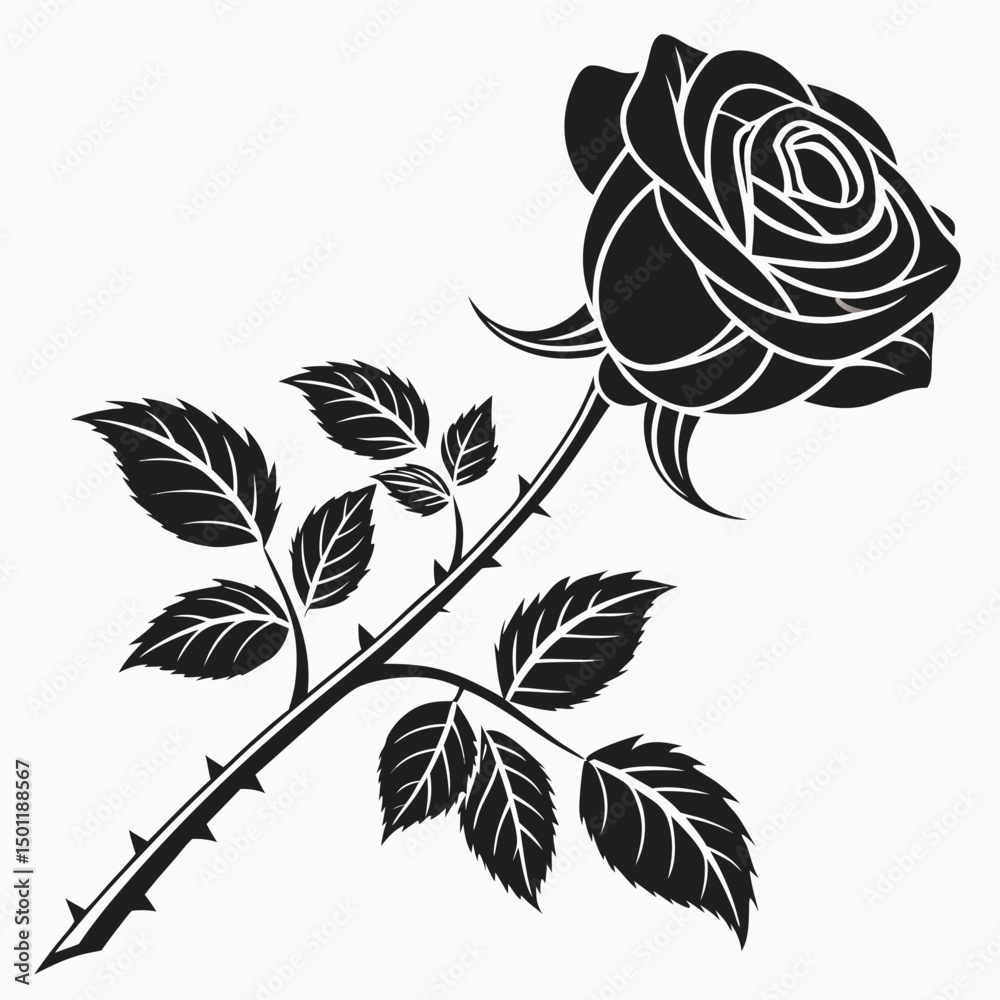 black and white rose black and white rose
