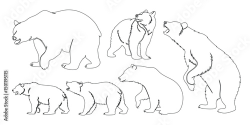 vector illustration of a bear in different poses