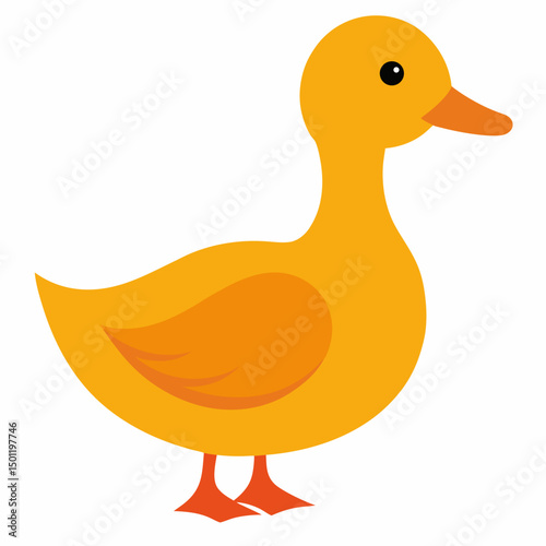 vector illustration of a duck