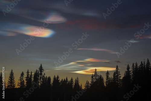 Polar clouds forming above a dense forest - the unique cloud patterns contrast with the dark treetops below, highlighting the beauty of natural phenomena in a northern landscape