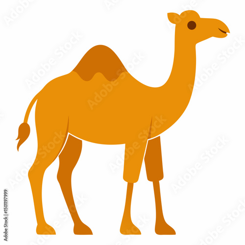 camel vector illustration
