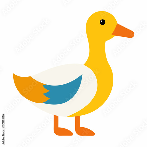 Duck with white background
