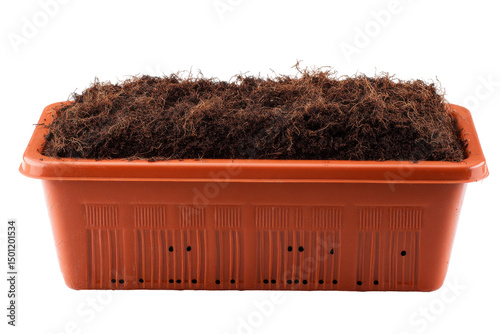 Seed tray, brown soil isolated on transparent background