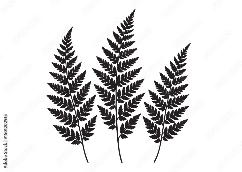 Naklejka premium fern leaves logo vector silhouette illustration, fern leaf logo icon silhouette, bracken fern leaf silhouettes vector illustration, black silhouette of a fern leaf on white background.