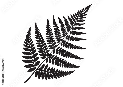 fern leaves logo vector silhouette illustration, fern leaf logo icon silhouette, bracken fern leaf silhouettes vector illustration, black silhouette of a fern leaf on white background.