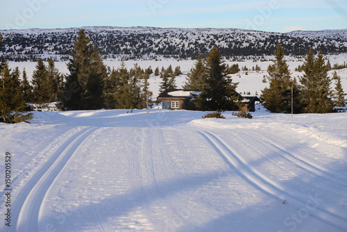 Winter landscape with a cross-country skiing trail leading toward a traditional Scandinavian house surrounded by trees, Hafjell area, Norway