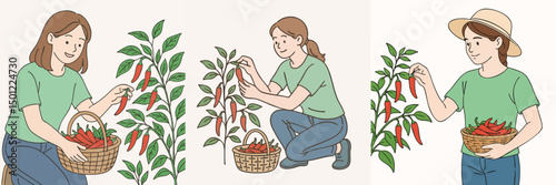 Illustration of a teenage girl picking chilies in a field, wearing a mint green t-shirt and blue jeans.