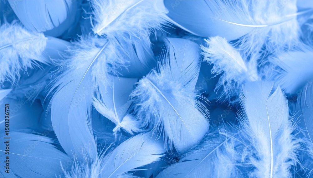 Fototapeta premium blue feathers background