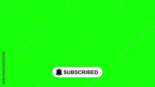 subscribe button and turn on notifications button 