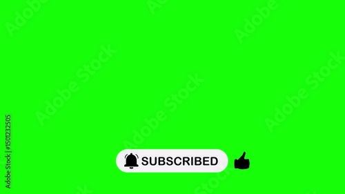 subscribe button and turn on notifications button 