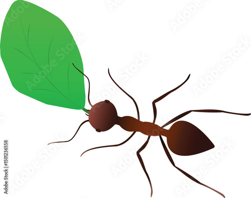 Ant carrying green leaf cartoon vector on a white background