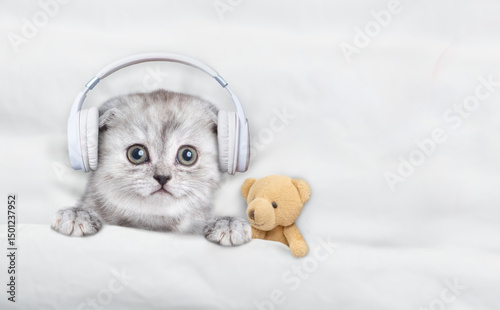 Tiny kitten with headphones on it head listening music on a bed at home with toy bear. Top down view. Empty space for text