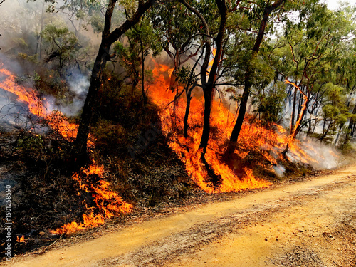 Obraz na plátně Climate change and the Australian black summer bushfires