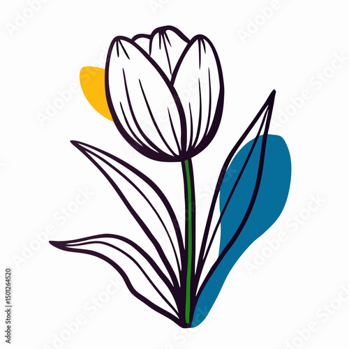 Hand-drawn White Tulip Flower Illustration with Abstract Background