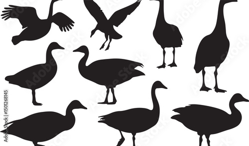 Silhouette Geese Flock Illustration: Artistic Black and White Vector of Winged Waterfowl for Ornithology and Birdwatching Enthusiasts