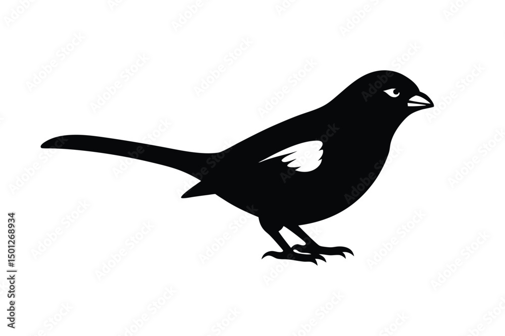 Obraz premium House sparrow silhouette vector bundle illustration, House Sparrow Silhouette Vector Bundle Black Bird Illustrations on White Background