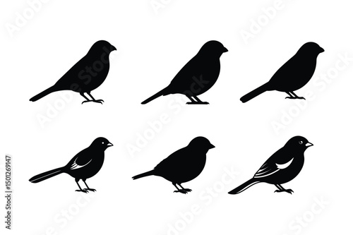 Wallpaper Mural House sparrow silhouette vector bundle  illustration, House Sparrow Silhouette Vector Bundle  Black Bird Illustrations on White Background

 Torontodigital.ca