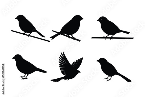 House sparrow silhouette vector bundle  illustration, House Sparrow Silhouette Vector Bundle  Black Bird Illustrations on White Background

