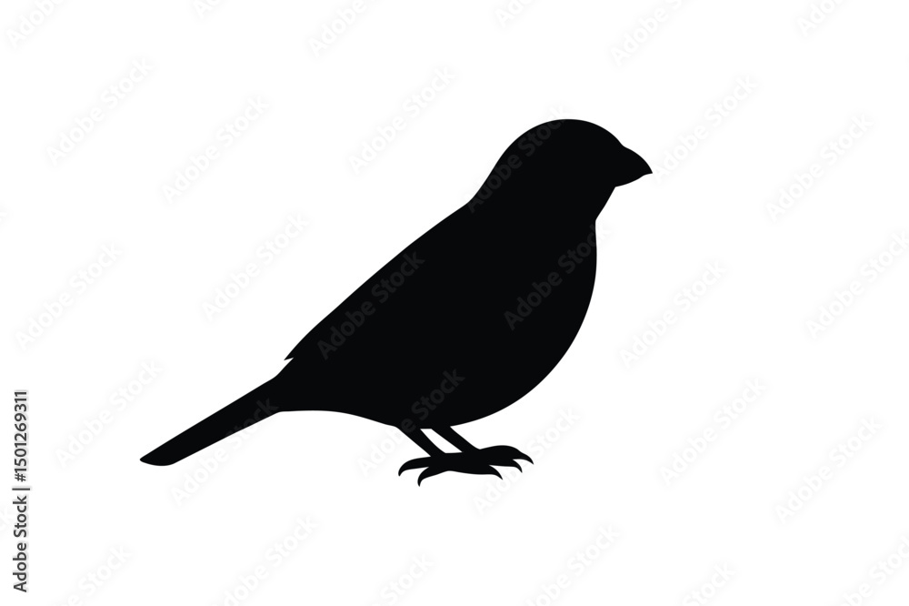 Obraz premium House sparrow silhouette vector bundle illustration, House Sparrow Silhouette Vector Bundle Black Bird Illustrations on White Background