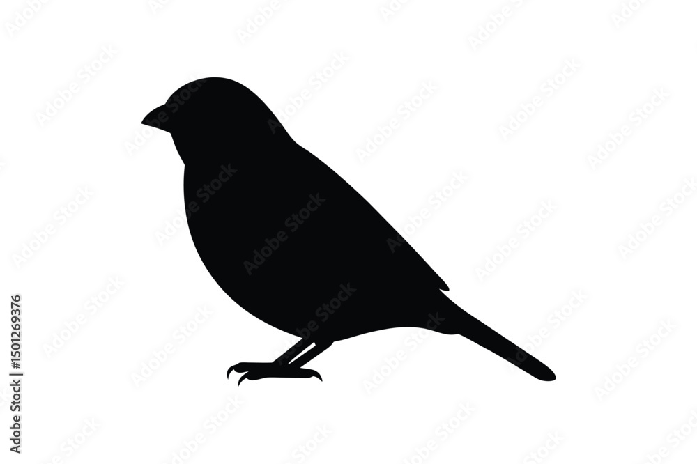 Obraz premium House sparrow silhouette vector bundle illustration, House Sparrow Silhouette Vector Bundle Black Bird Illustrations on White Background