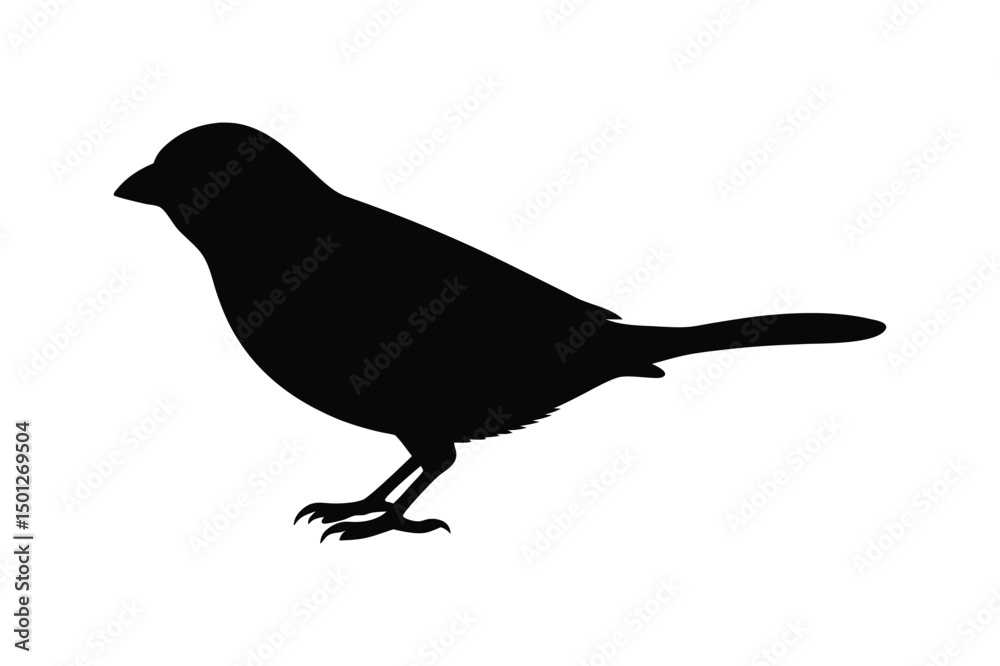Fototapeta premium House sparrow silhouette vector bundle illustration, House Sparrow Silhouette Vector Bundle Black Bird Illustrations on White Background