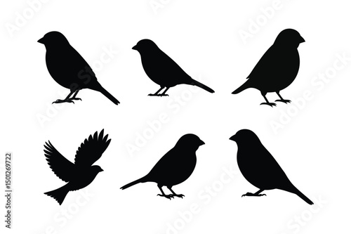Wallpaper Mural House sparrow silhouette vector bundle  illustration, House Sparrow Silhouette Vector Bundle  Black Bird Illustrations on White Background

 Torontodigital.ca