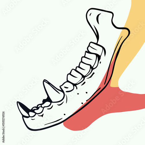 Line art illustration of animal jawbone with teeth