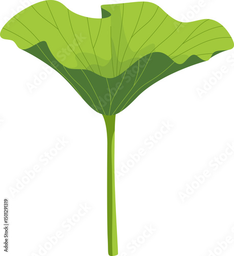 Lotus Leaf Floating Gently