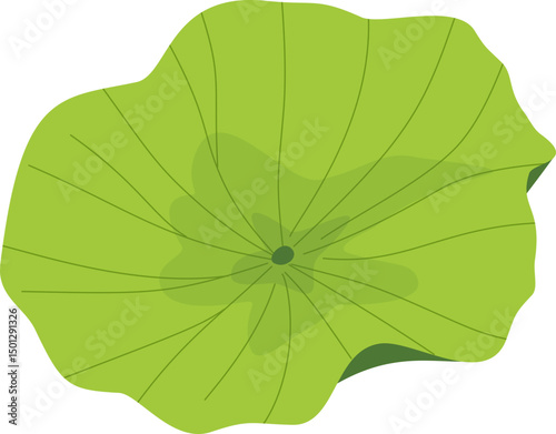 Green Lotus Leaf