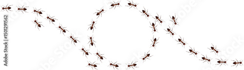Road and ball of ants top view design vector illustration isolated on white background..eps