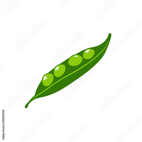 Fresh green peas in a pod illustration