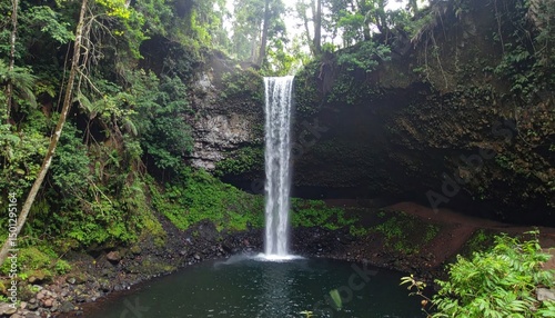 Waterfall descends into a pool, mossy rocks and lush forest surrounds