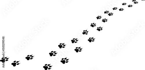 Paw print of dog isolated on transparent background. cat paw print. cat walk foot print. Paw print of dog